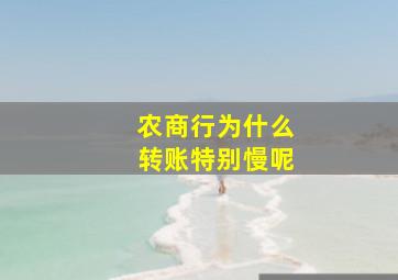 农商行为什么转账特别慢呢