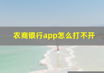 农商银行app怎么打不开