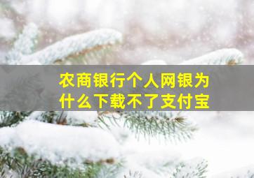 农商银行个人网银为什么下载不了支付宝