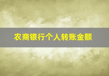 农商银行个人转账金额