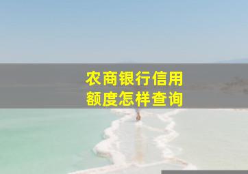 农商银行信用额度怎样查询