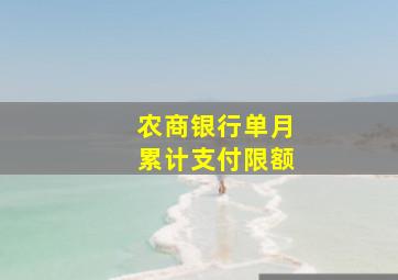 农商银行单月累计支付限额