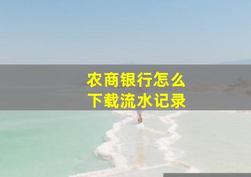 农商银行怎么下载流水记录