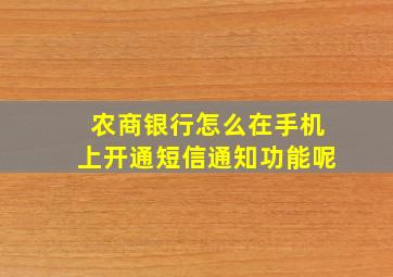 农商银行怎么在手机上开通短信通知功能呢