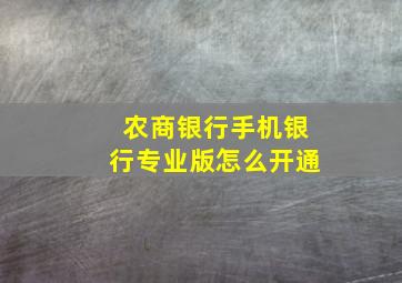 农商银行手机银行专业版怎么开通