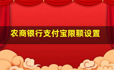 农商银行支付宝限额设置