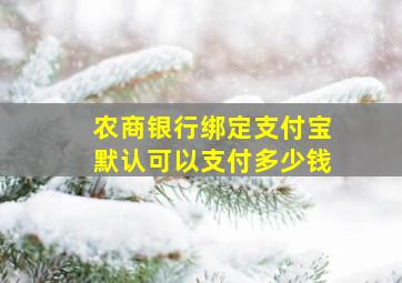 农商银行绑定支付宝默认可以支付多少钱