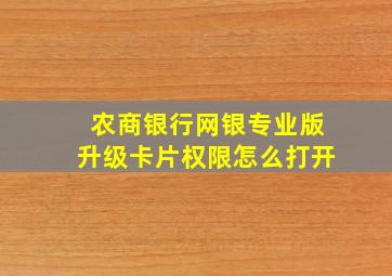 农商银行网银专业版升级卡片权限怎么打开