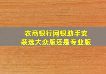 农商银行网银助手安装选大众版还是专业版