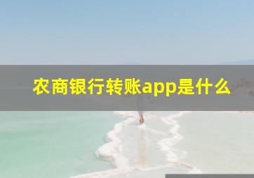 农商银行转账app是什么