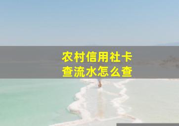 农村信用社卡查流水怎么查