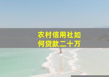 农村信用社如何贷款二十万