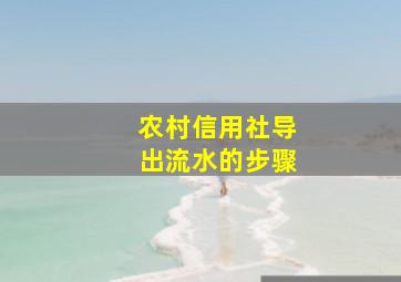 农村信用社导出流水的步骤