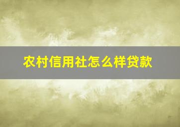 农村信用社怎么样贷款