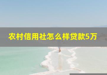 农村信用社怎么样贷款5万