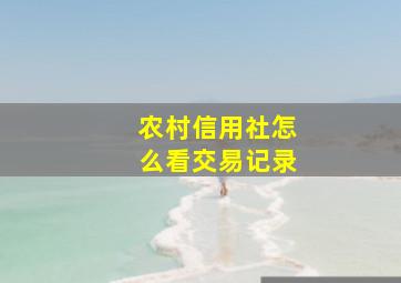 农村信用社怎么看交易记录