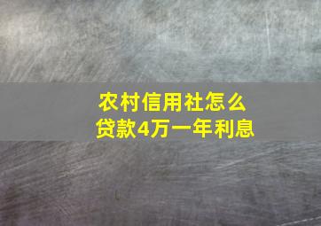 农村信用社怎么贷款4万一年利息