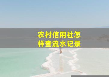 农村信用社怎样查流水记录