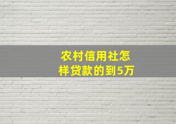 农村信用社怎样贷款的到5万