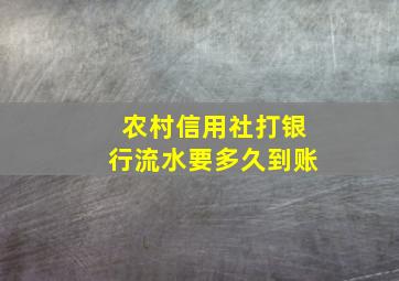 农村信用社打银行流水要多久到账