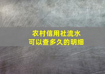 农村信用社流水可以查多久的明细