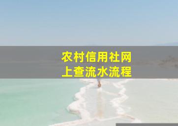 农村信用社网上查流水流程