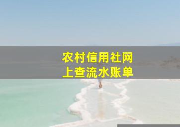 农村信用社网上查流水账单