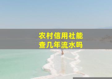 农村信用社能查几年流水吗