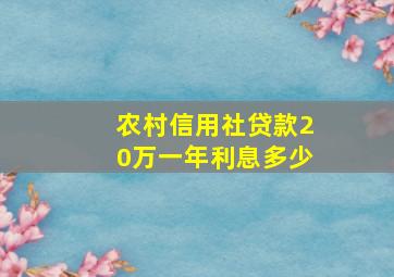 农村信用社贷款20万一年利息多少