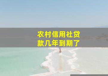 农村信用社贷款几年到期了