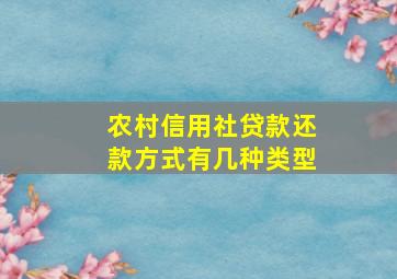 农村信用社贷款还款方式有几种类型