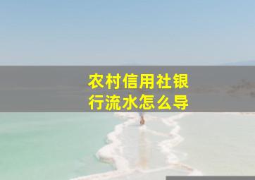 农村信用社银行流水怎么导