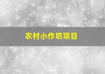 农村小作坊项目