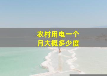 农村用电一个月大概多少度