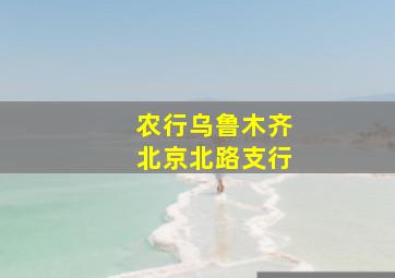 农行乌鲁木齐北京北路支行