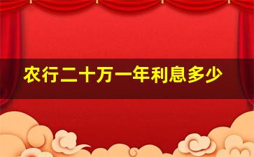 农行二十万一年利息多少