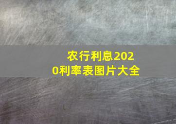 农行利息2020利率表图片大全