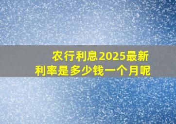 农行利息2025最新利率是多少钱一个月呢