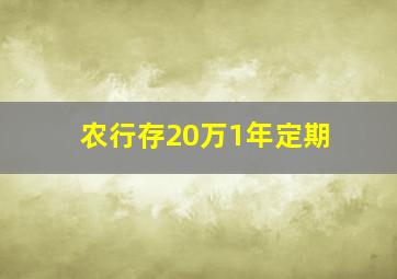 农行存20万1年定期