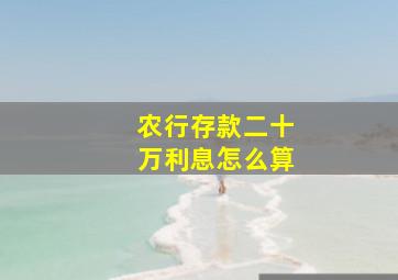 农行存款二十万利息怎么算