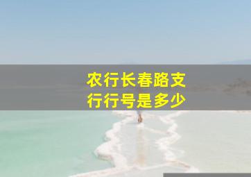 农行长春路支行行号是多少