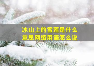 冰山上的雪莲是什么意思网络用语怎么说