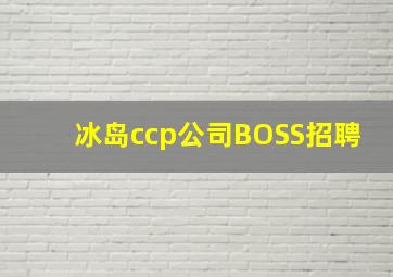 冰岛ccp公司BOSS招聘