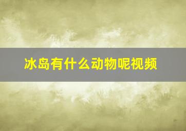 冰岛有什么动物呢视频