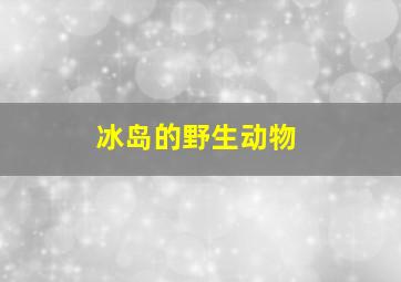 冰岛的野生动物