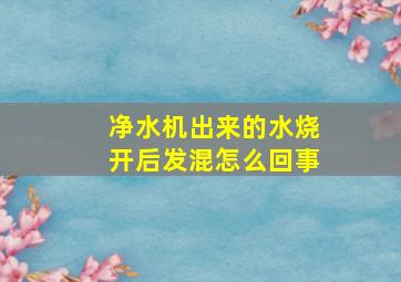 净水机出来的水烧开后发混怎么回事