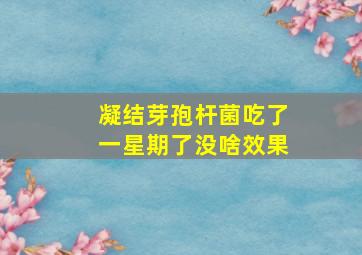 凝结芽孢杆菌吃了一星期了没啥效果