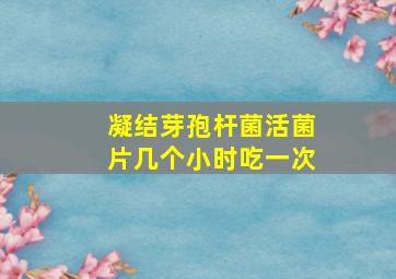 凝结芽孢杆菌活菌片几个小时吃一次