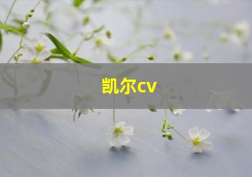 凯尔cv