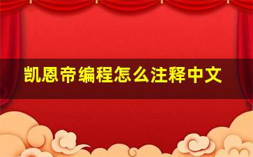 凯恩帝编程怎么注释中文